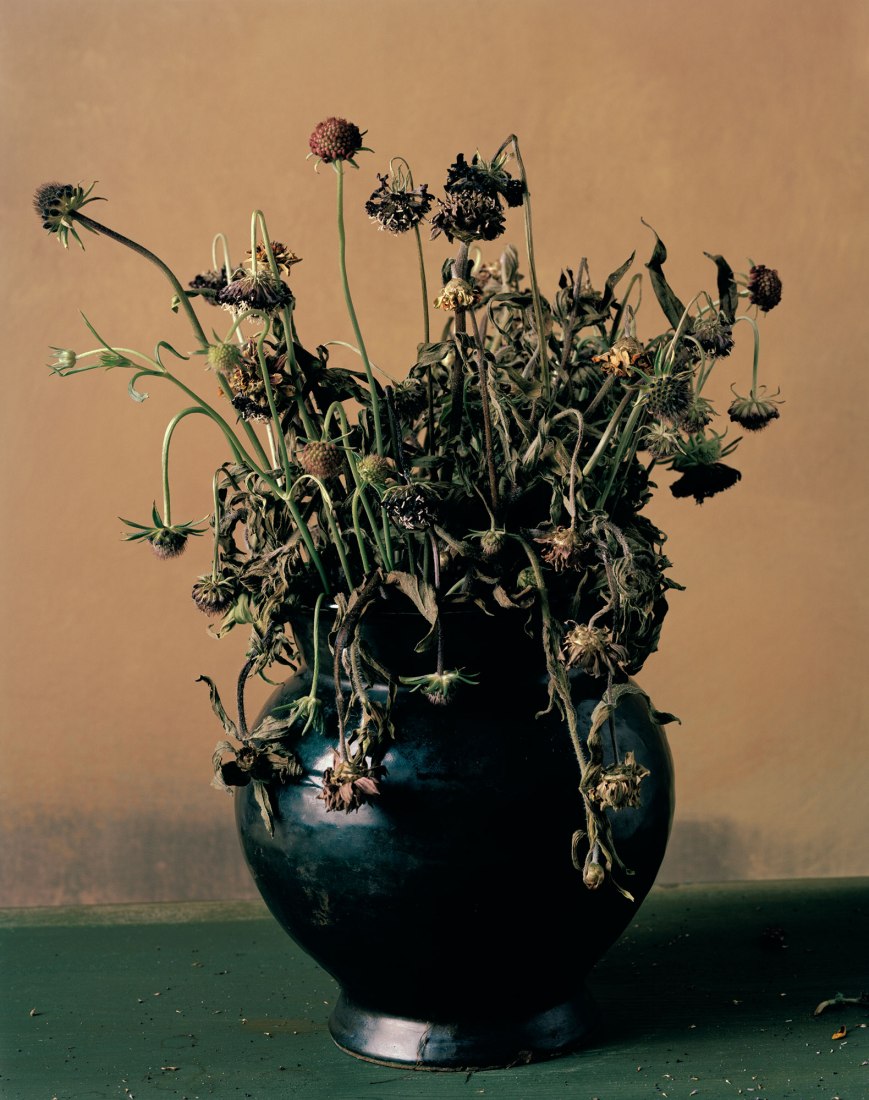 Sharon Core. 1886 (from the series 1606‐1907) 2010 © Sharon Core.