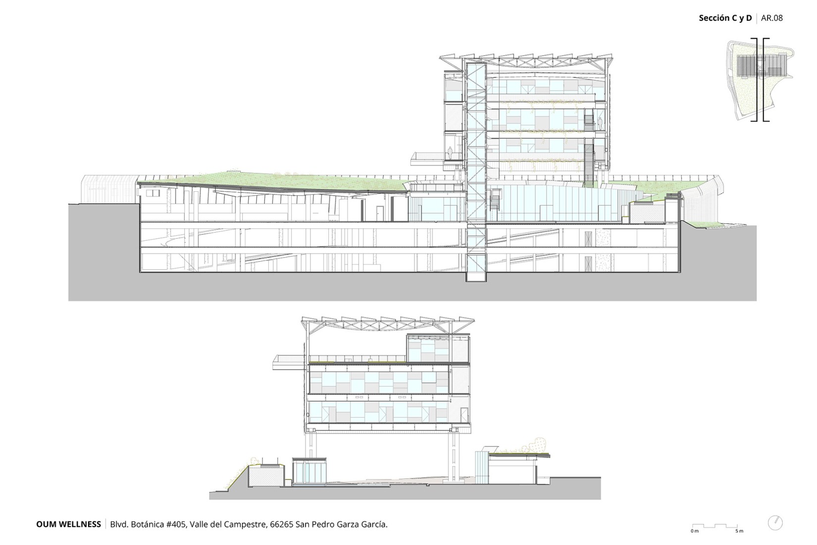 Sección. OUM Wellness por Picharchitects/PichAguilera.