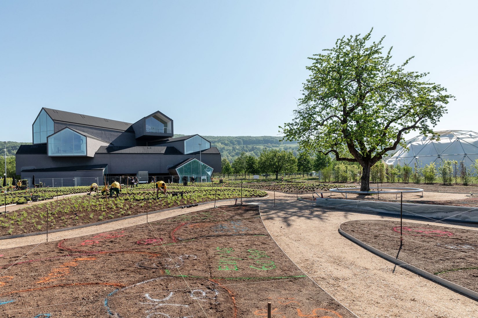 A new garden by Piet Oudolf, on the Vitra Campus in Weil am Rhein. Photograph by Dejan Jovanovic / Vitra