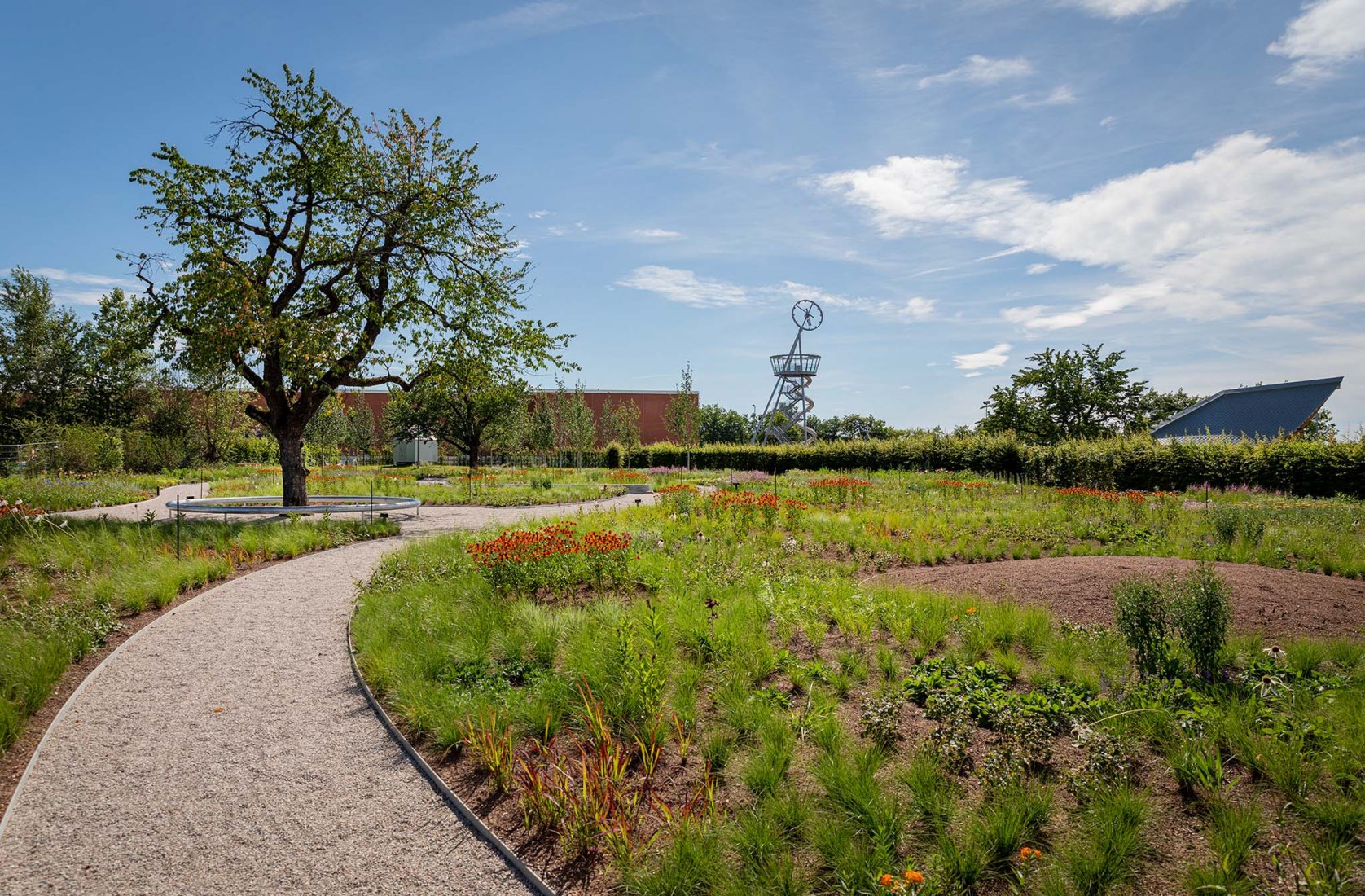 Blooming Campus at the Vitra. Oudolf Garten by Piet Oudolf The