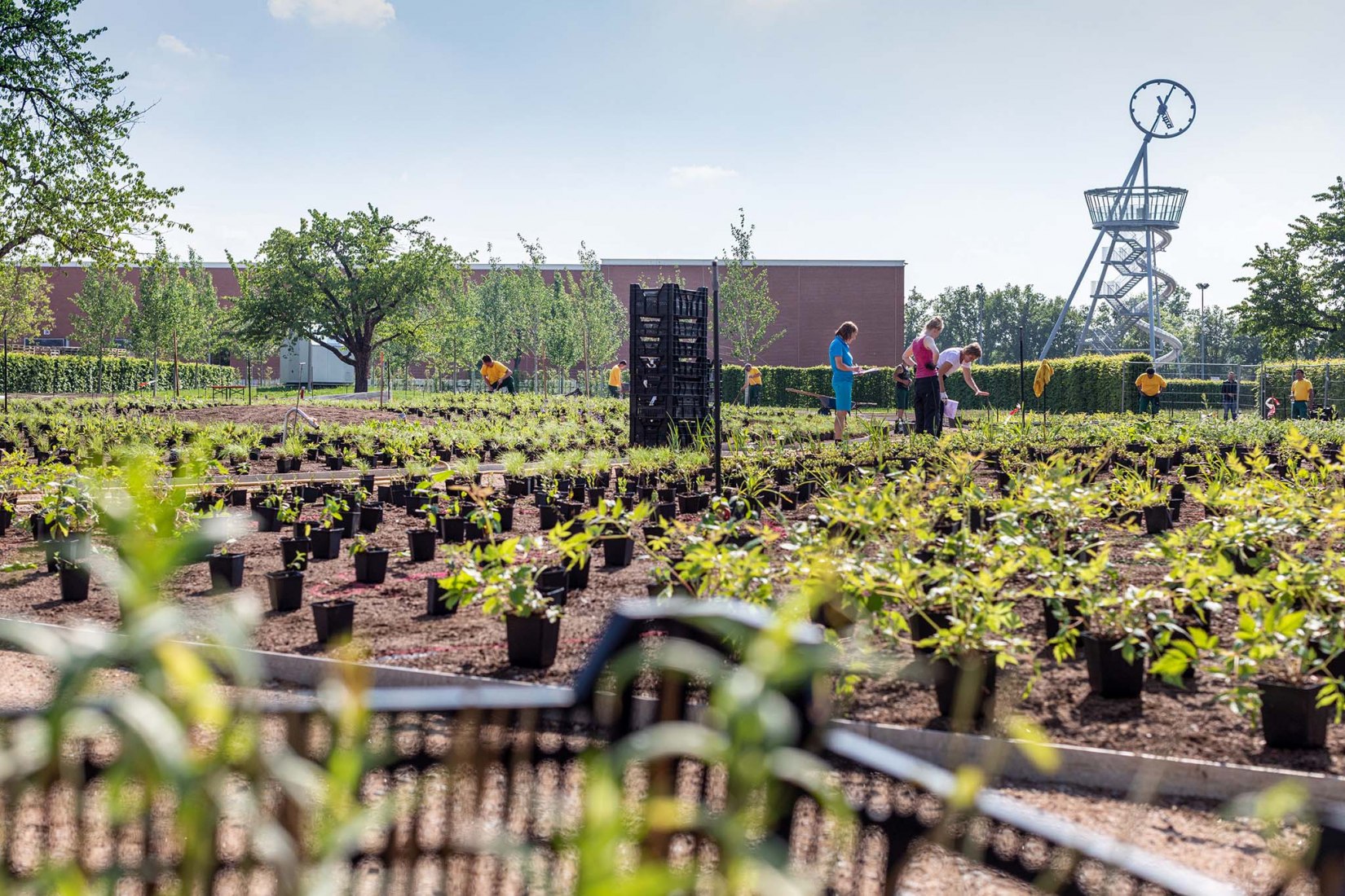 Blooming Campus at the Vitra. Oudolf Garten by Piet Oudolf The