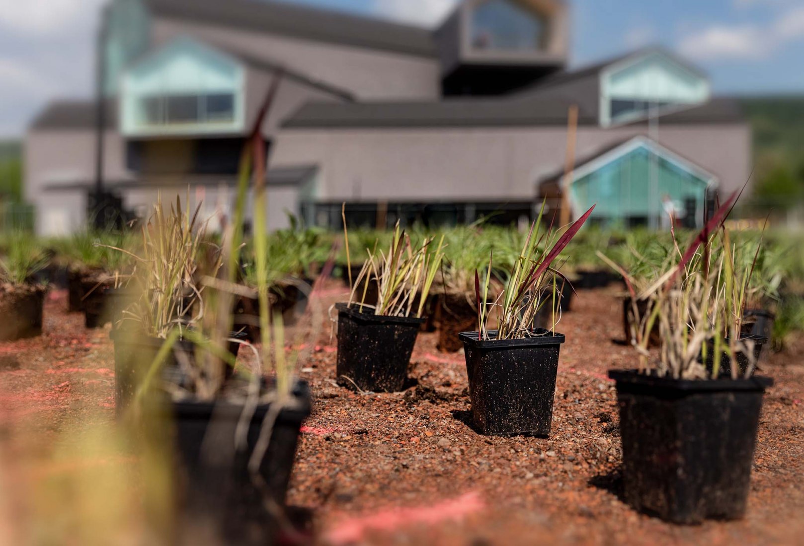 Oudolf Garten diseñado en el Vitra Campus por Piet Oudolf.