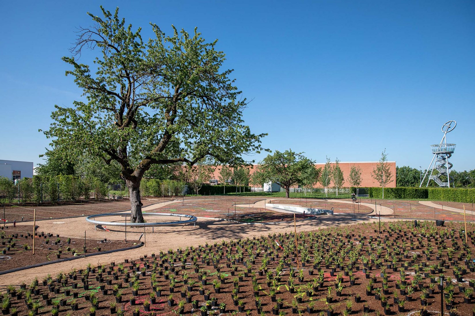 Blooming Campus at the Vitra. Oudolf Garten by Piet Oudolf The