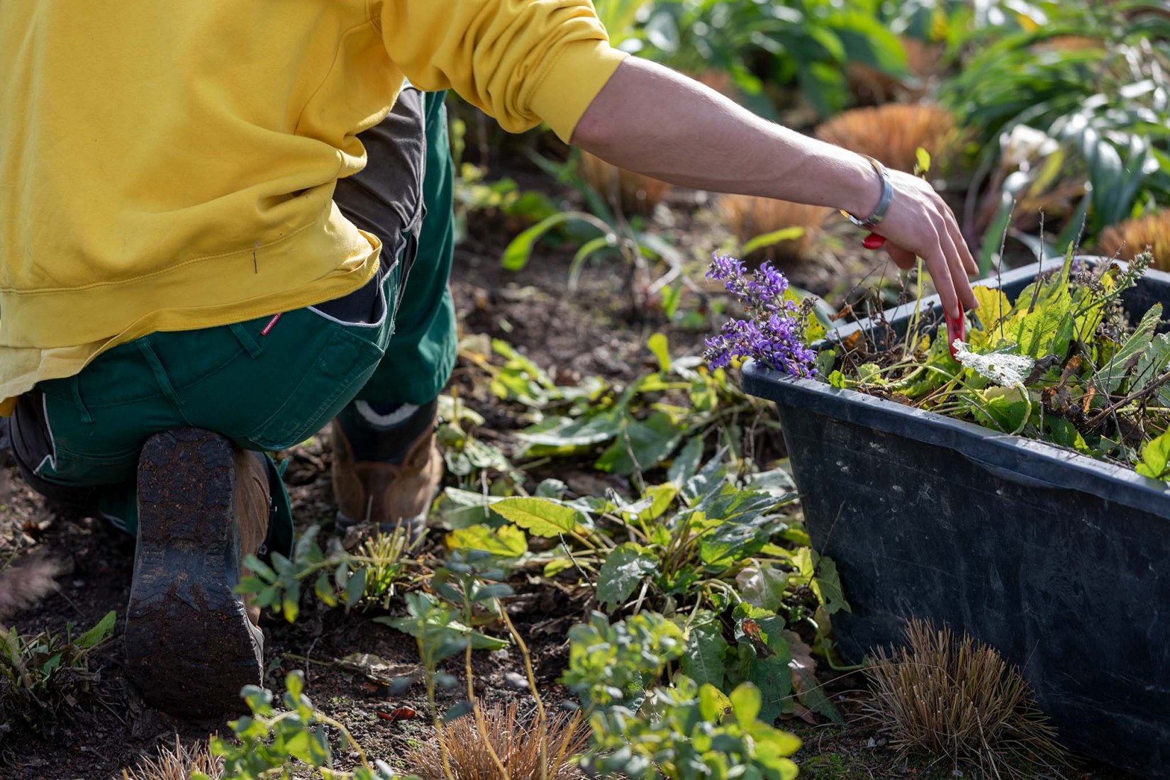 Oudolf Garten diseñado en el Vitra Campus por Piet Oudolf.