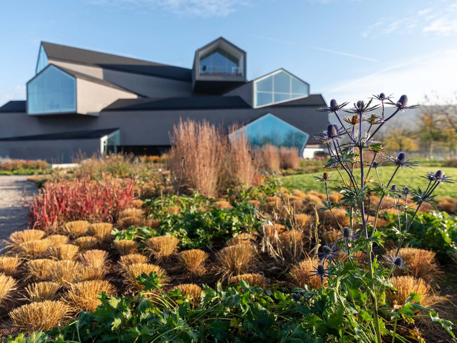 Blooming Campus at the Vitra. Oudolf Garten by Piet Oudolf The