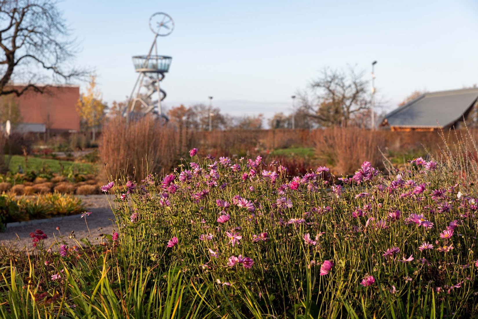 Blooming Campus at the Vitra. Oudolf Garten by Piet Oudolf The