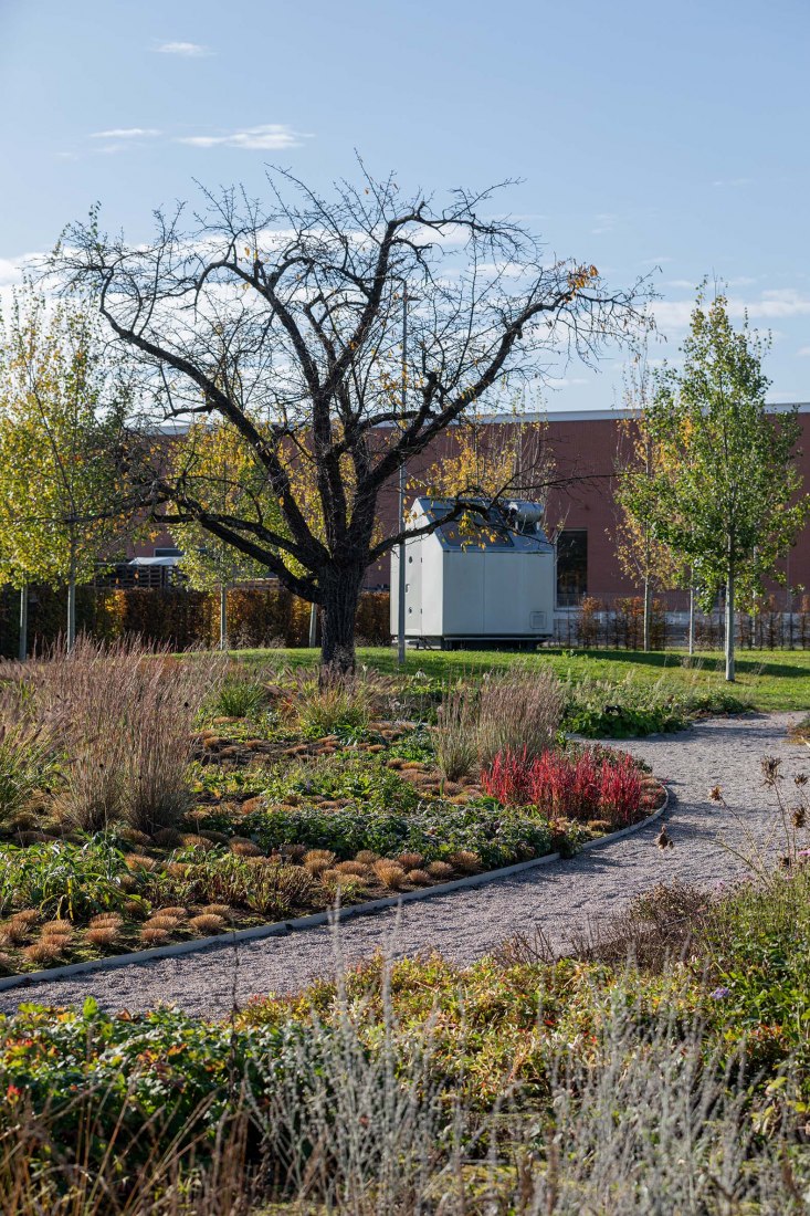 Oudolf Garten diseñado en el Vitra Campus por Piet Oudolf.