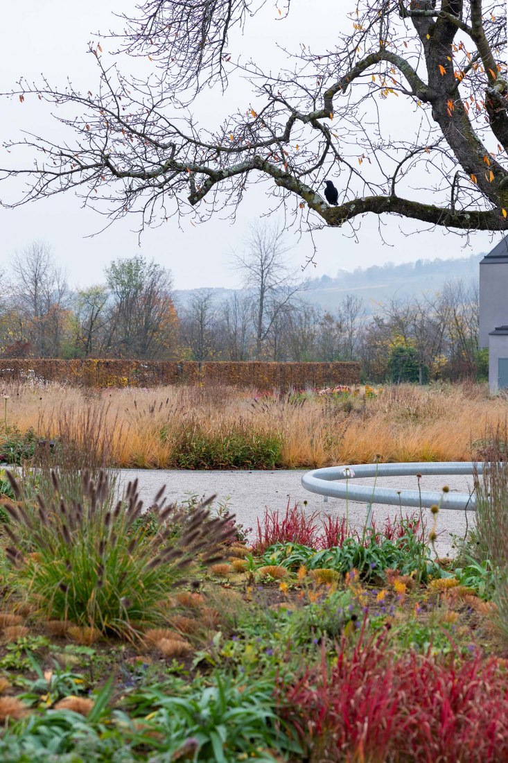 Blooming Campus at the Vitra. Oudolf Garten by Piet Oudolf The