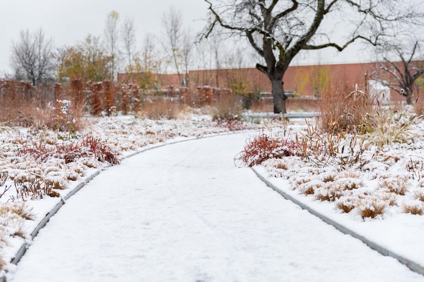 Oudolf Garten diseñado en el Vitra Campus por Piet Oudolf.