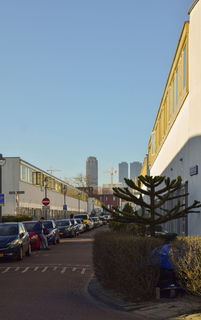 Kiefhoek neighborhood by Jacobus Johannes Pieter Oud. Photograph by Ramiro Isaurralde