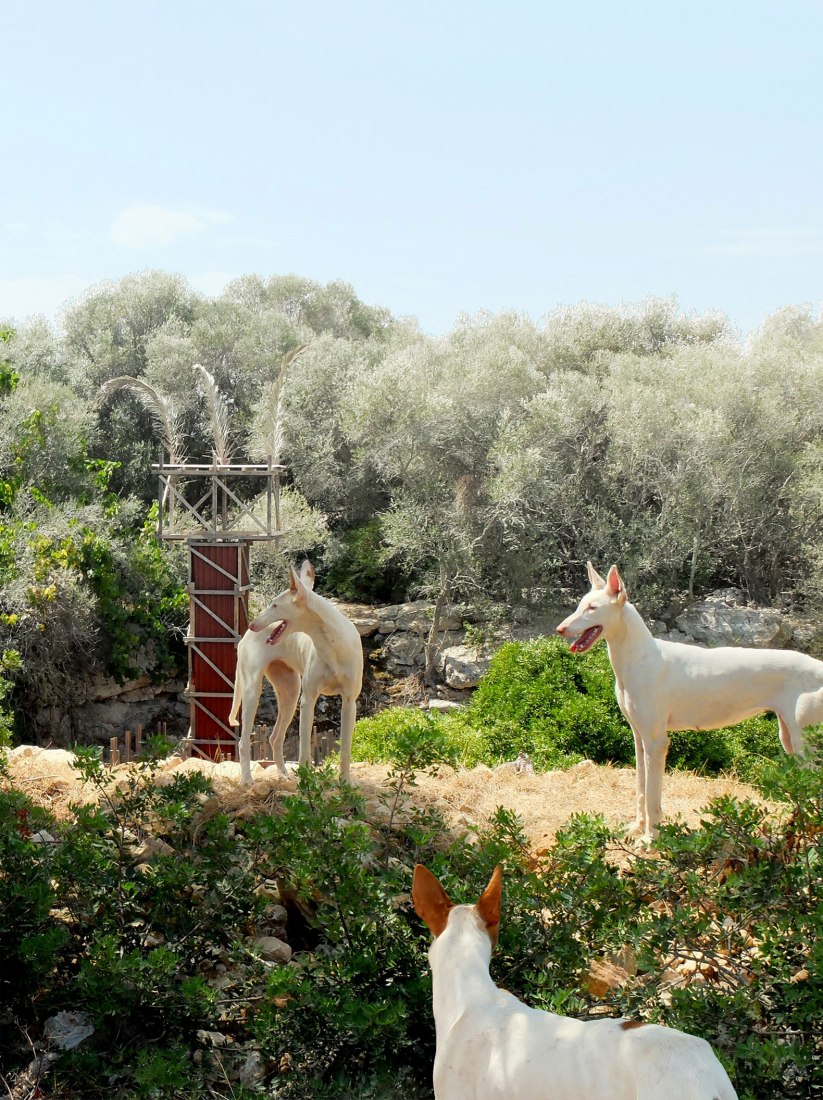 Vista exterior. Pozo Podenco por Gartnerfuglen Arkitekter + Mariana de Delás. Cortesía de los arquitectos