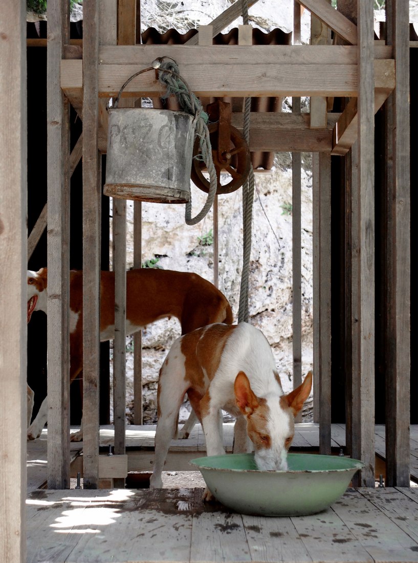 Vista interior. Pozo Podenco por Gartnerfuglen Arkitekter + Mariana de Delás. Cortesía de los arquitectos