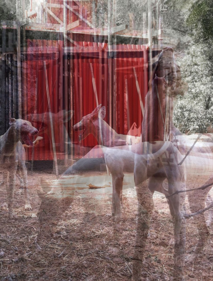 Vista exterior. Pozo Podenco por Gartnerfuglen Arkitekter + Mariana de Delás. Cortesía de los arquitectos