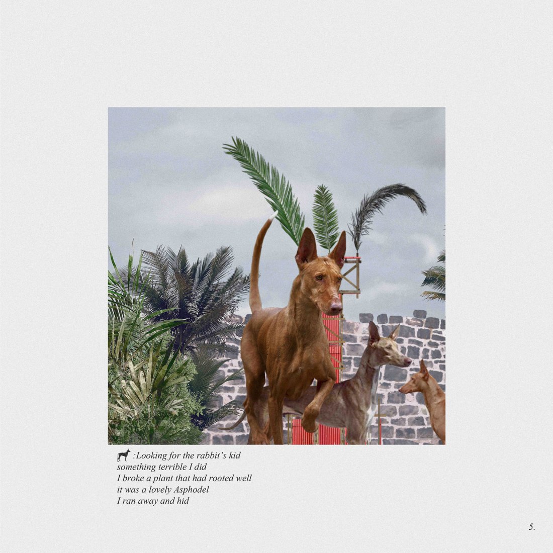 All is vanity / 05. Pozo Podenco por Gartnerfuglen Arkitekter + Mariana de Delás. Cortesía de los arquitectos