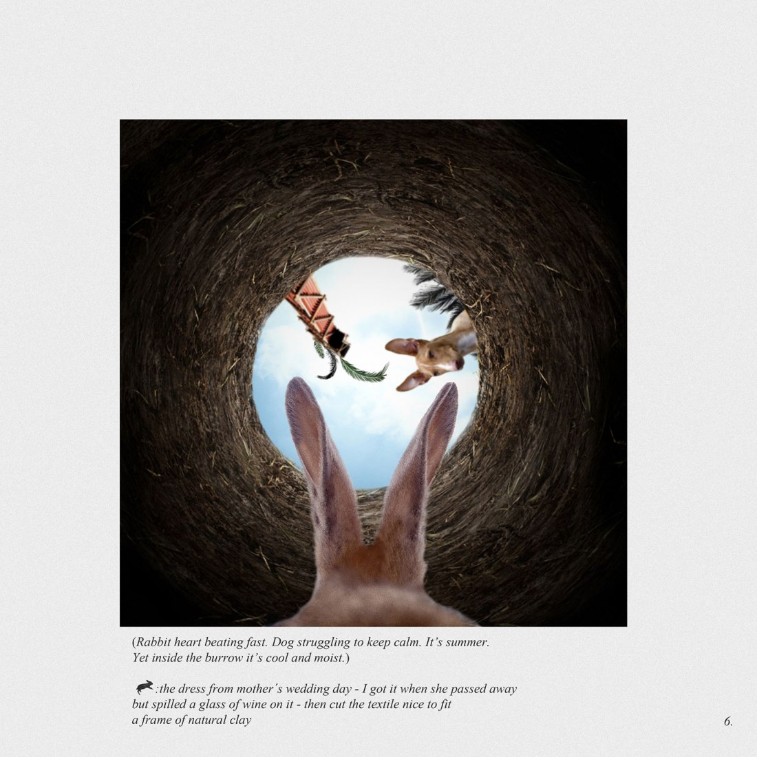 All is vanity / 06. Pozo Podenco por Gartnerfuglen Arkitekter + Mariana de Delás. Cortesía de los arquitectos