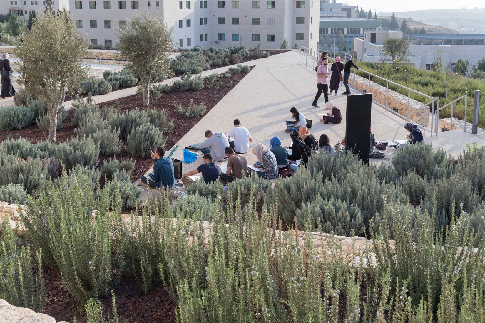 El Museo Palestino por Heneghan Peng Arquitects. Birzeit, Palestina. Fotografía © Iwan Baan. Imagen cortesía de Heneghan Peng Arquitects