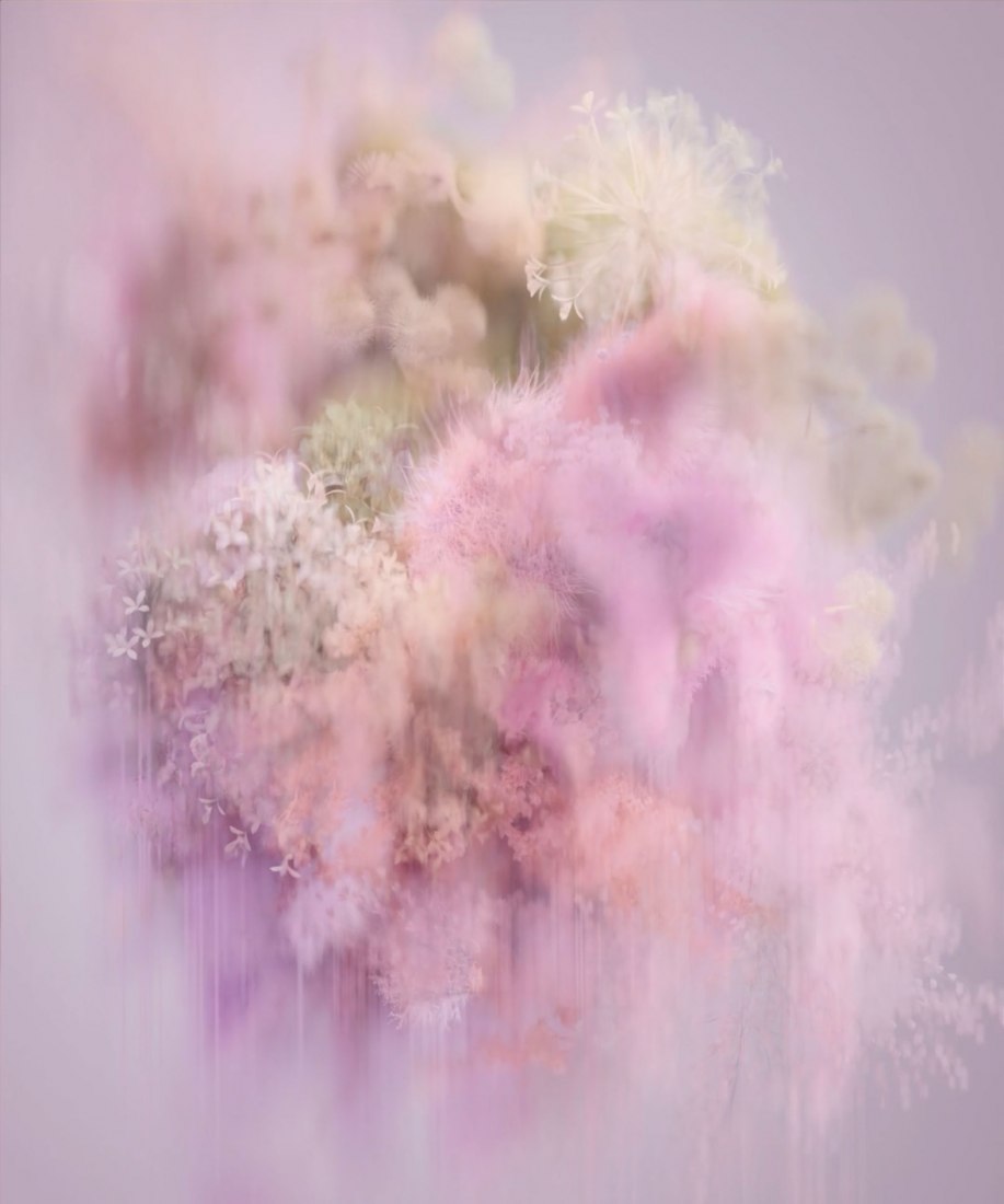 Pollen por Reisinger Studio
