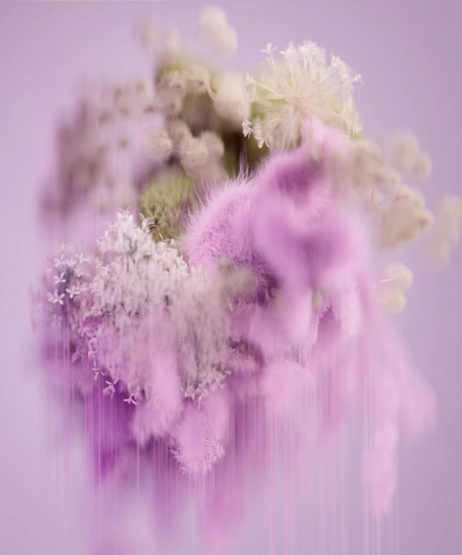 Pollen por Reisinger Studio