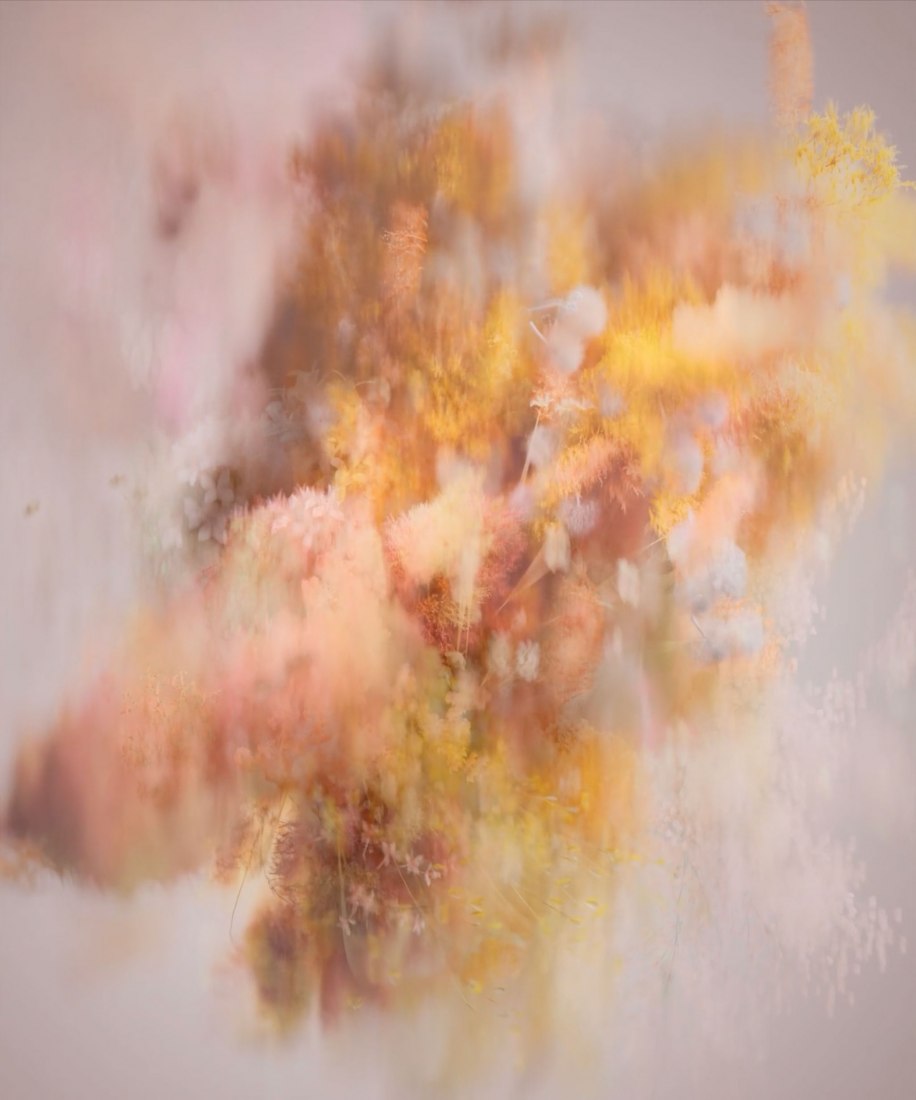 Pollen por Reisinger Studio