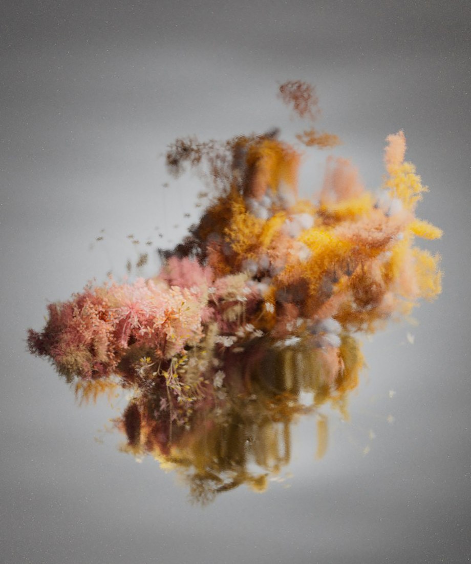 Pollen por Reisinger Studio