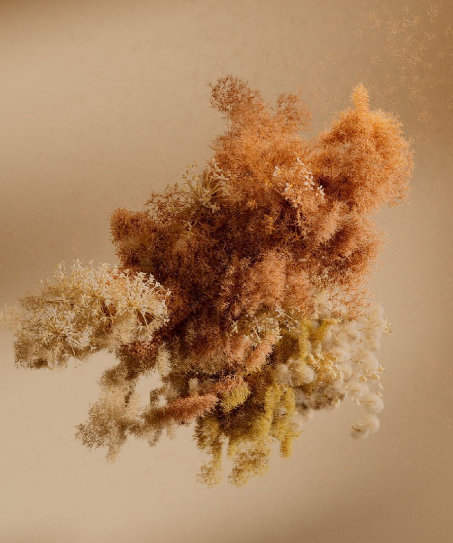 Pollen por Reisinger Studio