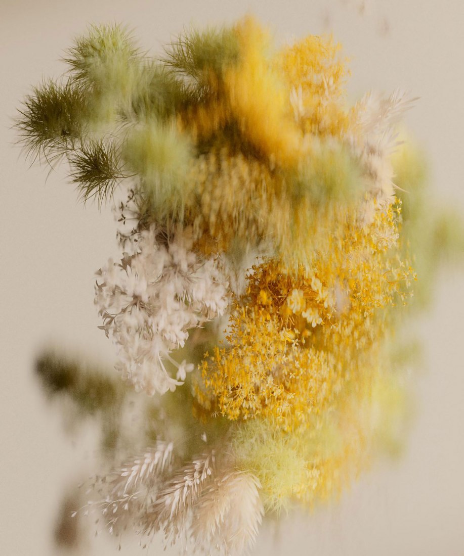 Pollen por Reisinger Studio