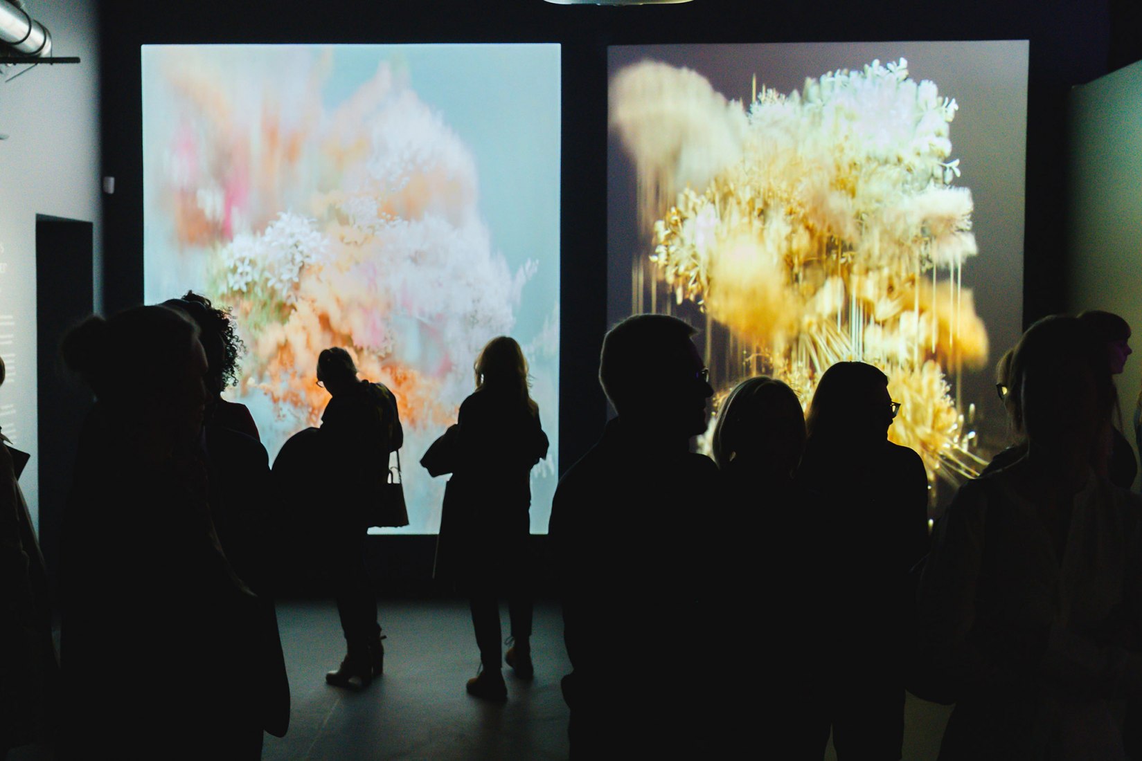 Pollen por Reisinger Studio