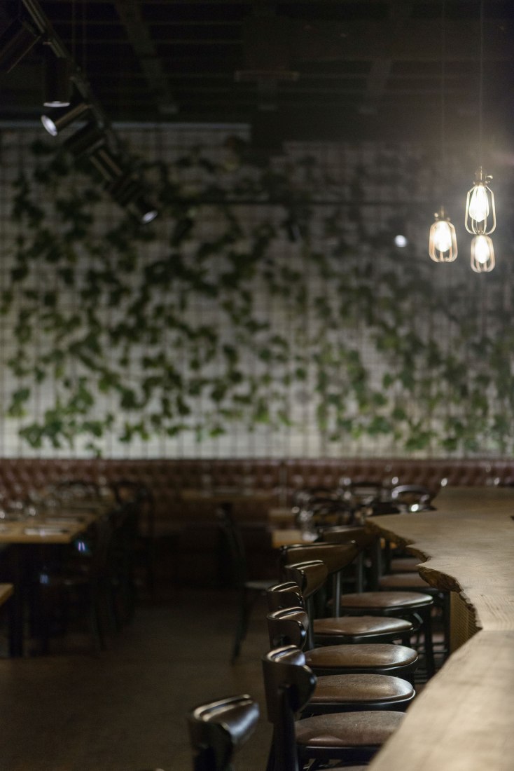 Bar Wine District por Arq Tailor's. Fotografía @ Ricardo Oliveira alves