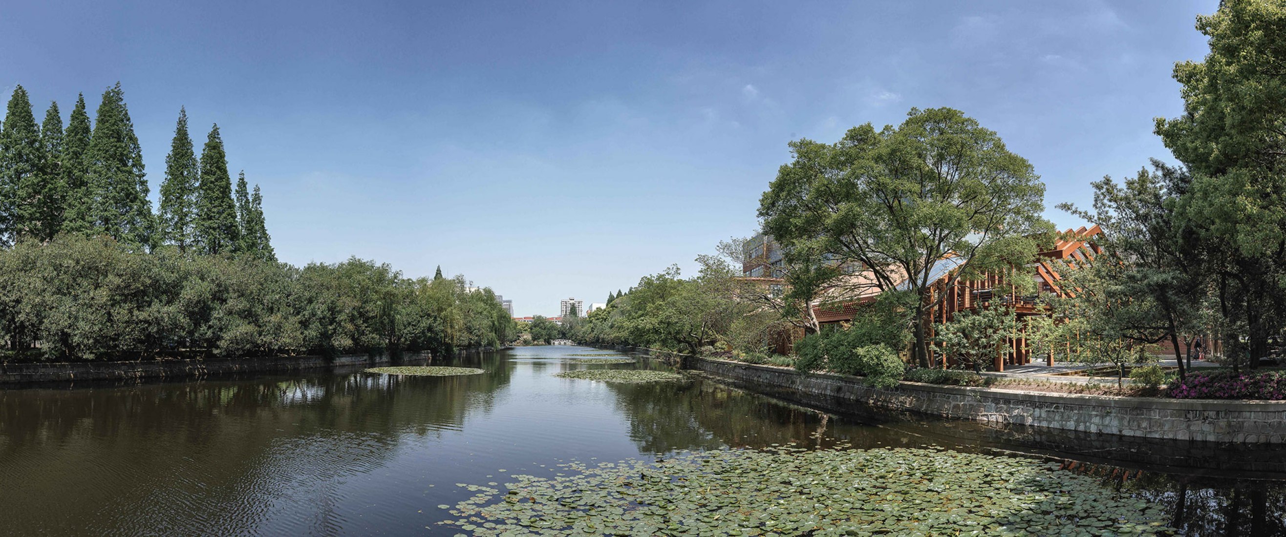 Liva Riverside Book Bar by Lacime Architects. Photograph by Qianxi Zhang.