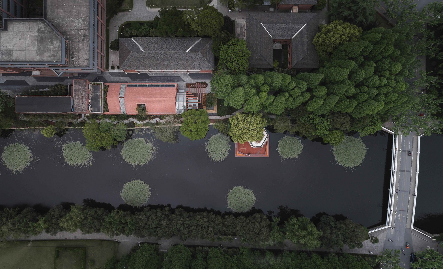 Liva Riverside Book Bar by Lacime Architects. Photograph by Qianxi Zhang.