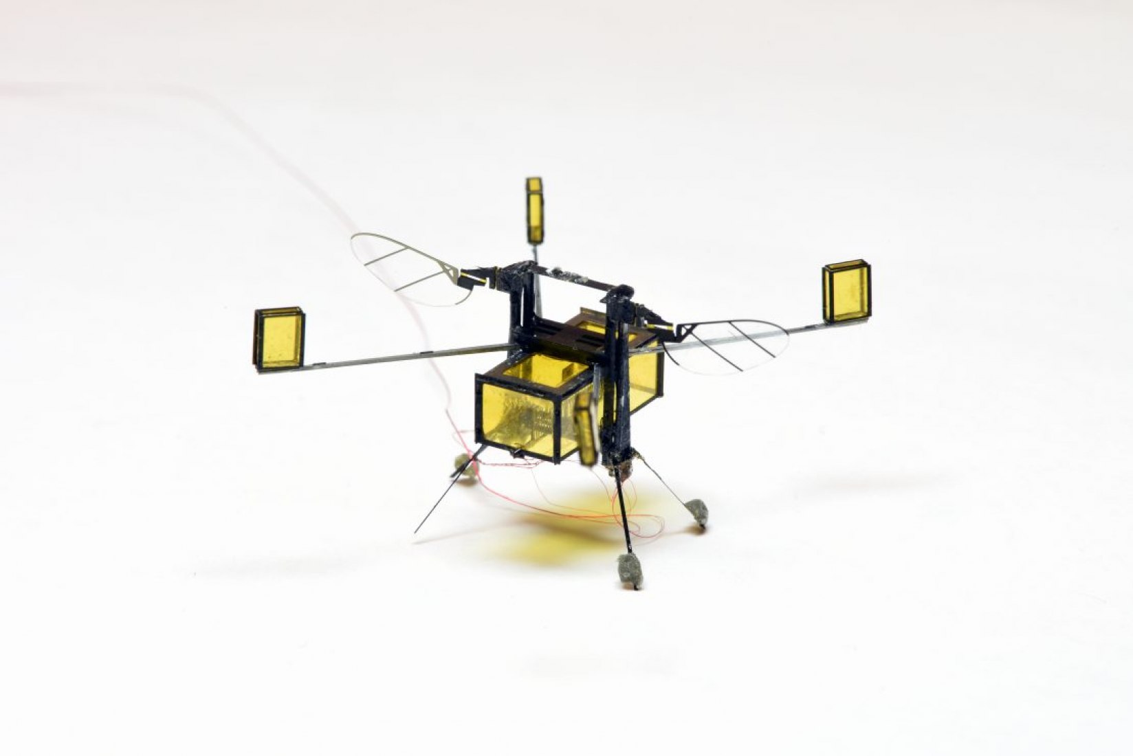 New, hybrid RoboBee can fly, dive into water, swim, propel itself back out of water, and safely land. The RoboBee is retrofitted with four buoyant and a central gas collection chamber. Once the RoboBee swims to the surface, an electrolytic plate in the chamber converts water into oxyhydrogen, a combustible gas fuel. Image courtesy of Wyss Institute at Harvard University
