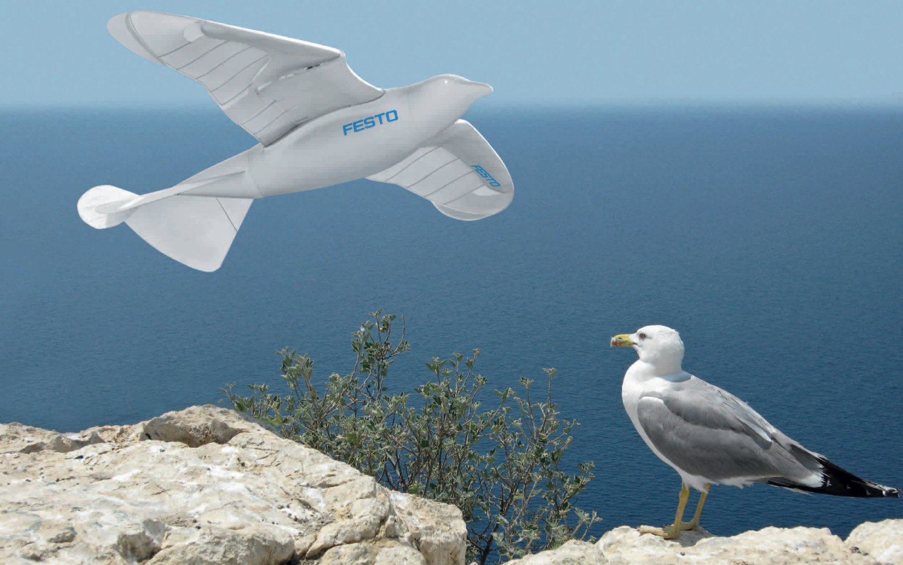 A robot that flies like a bird