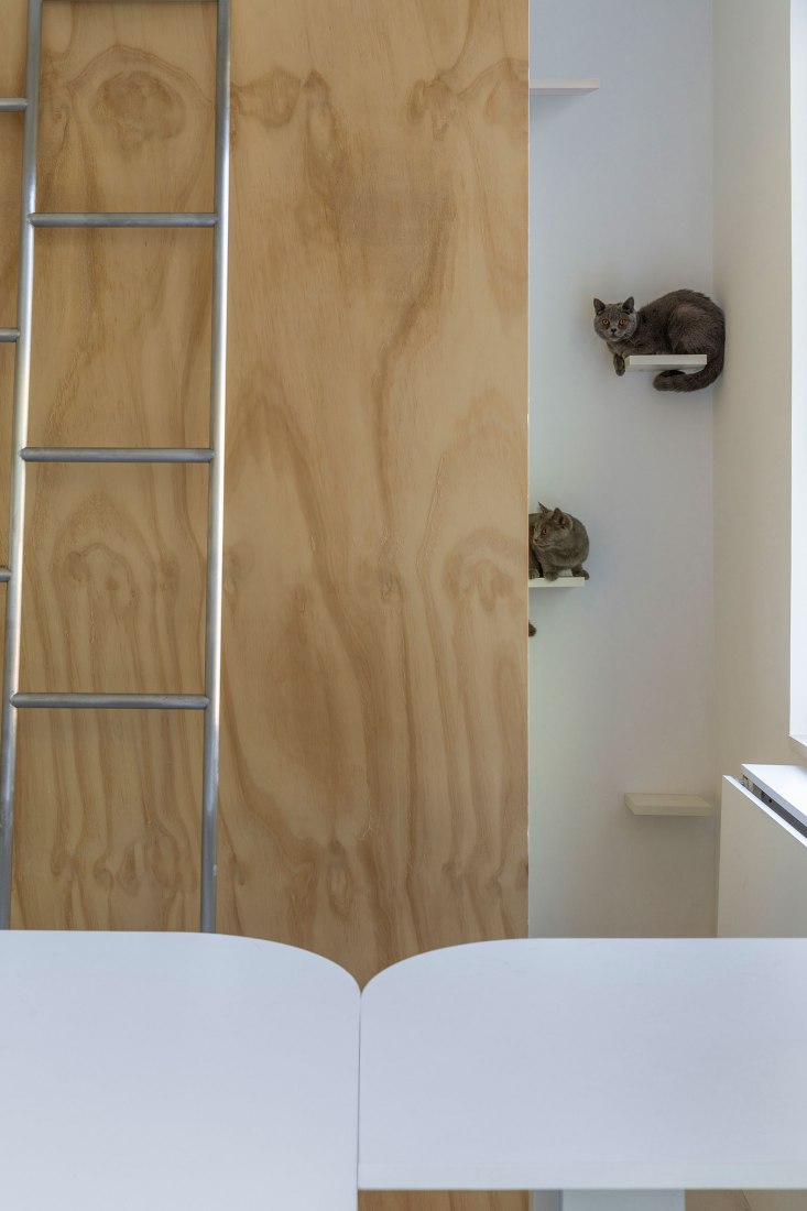 Apartamento de posguerra T101 por ROOI Design and Research. Fotografía por Weiqi Jin.