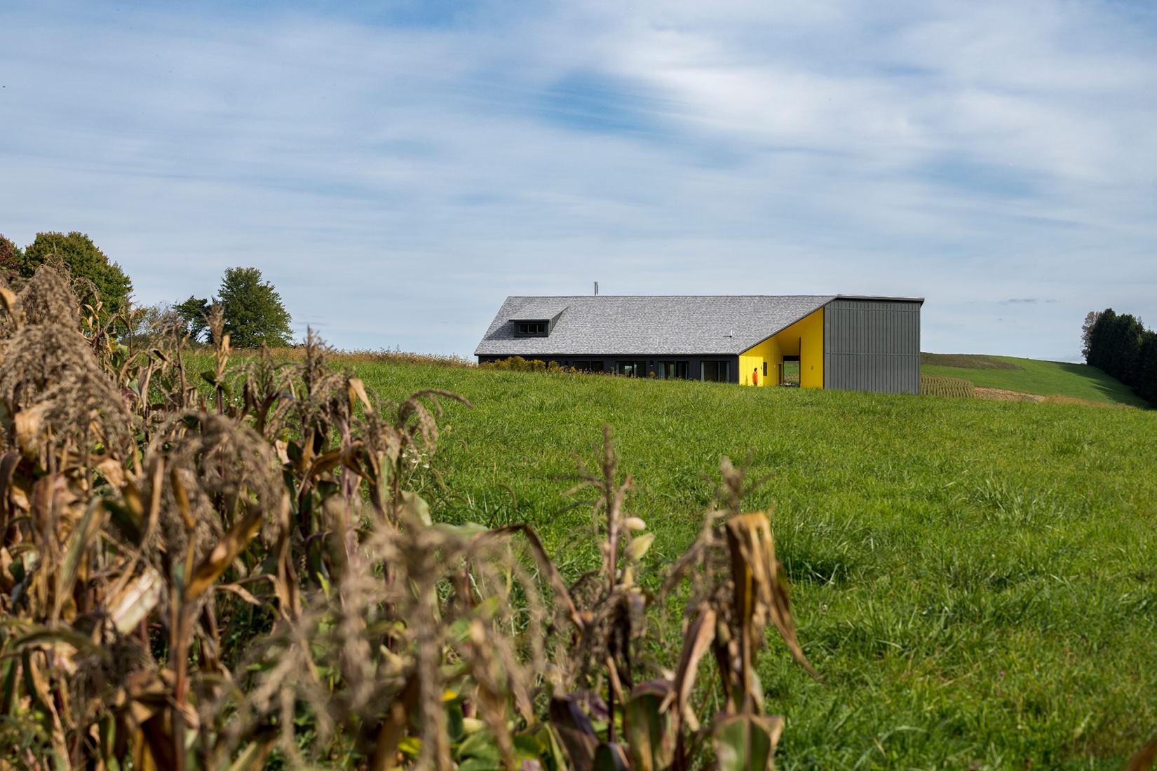 Oblong Farm by Scalar Architecture. Photograph by Imagen Subliminal.