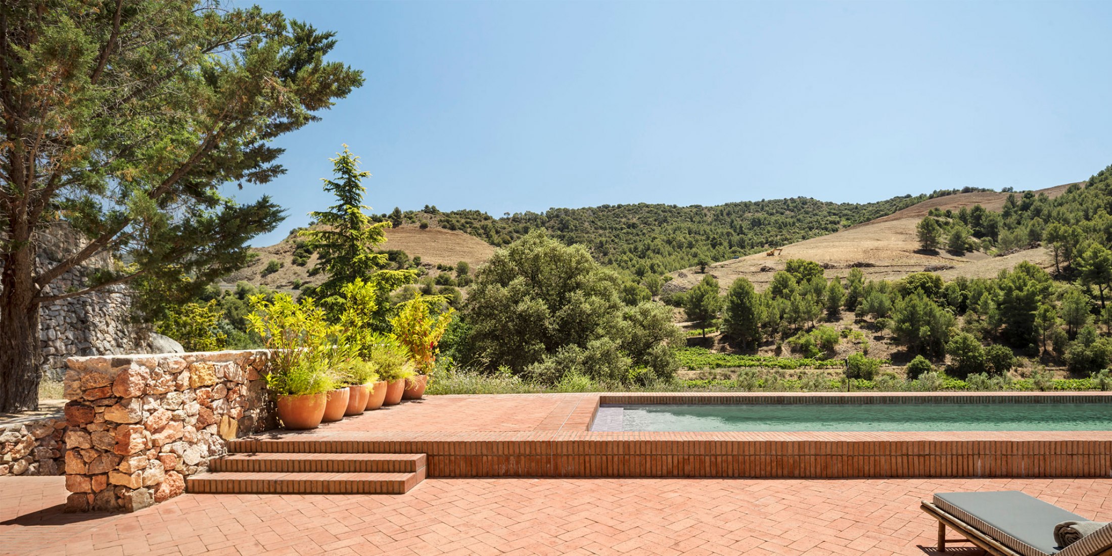Landscaping project Terra Dominicata Hotel & Winery by SCOB. Photograph by Adrià Goula