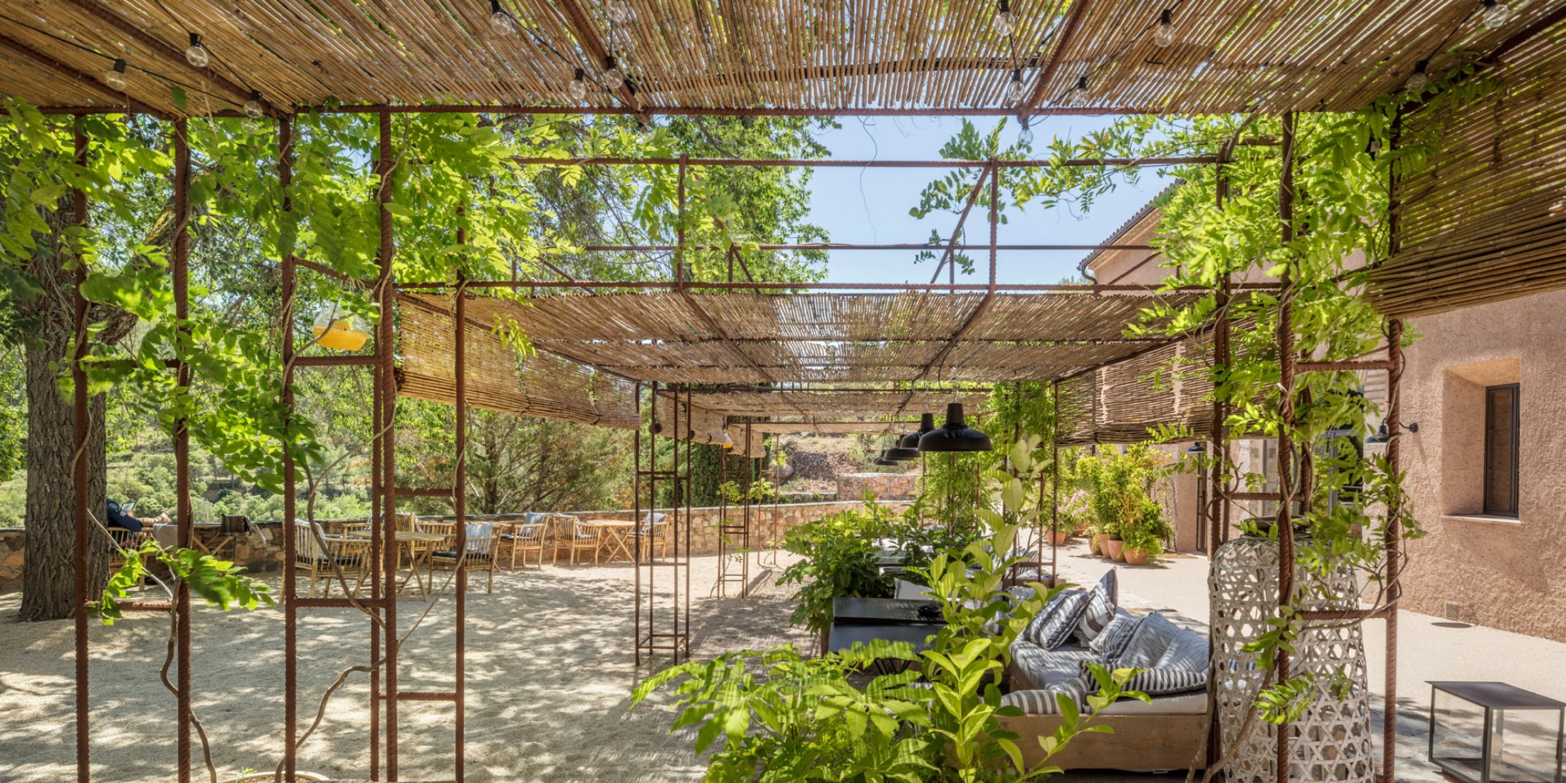 Landscaping project Terra Dominicata Hotel & Winery by SCOB. Photograph by Adrià Goula