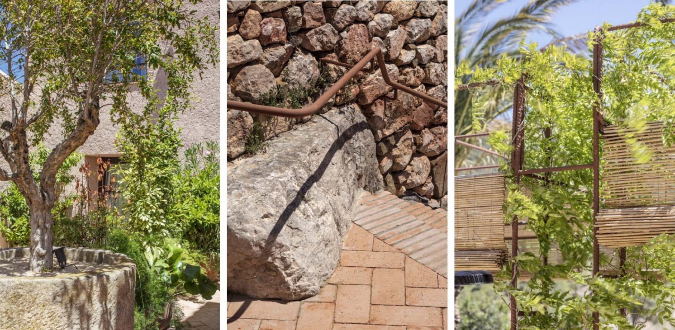 Landscaping project Terra Dominicata Hotel & Winery by SCOB. Photograph by Adrià Goula