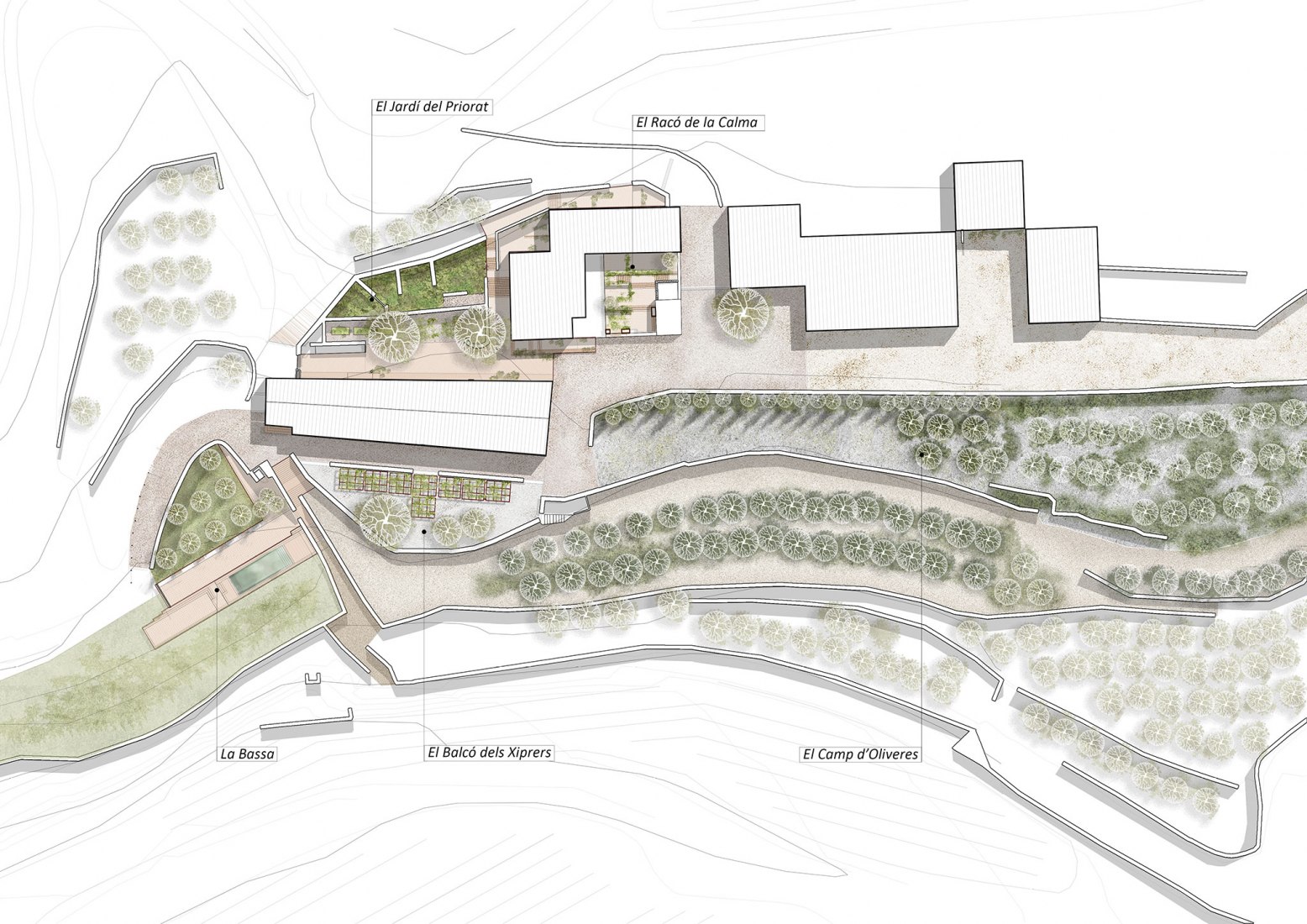 Ground plan. Landscaping project Terra Dominicata Hotel & Winery by SCOB. 
