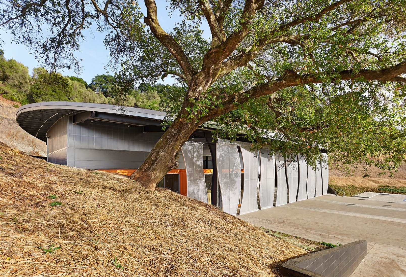 Bodega Odette Estate por Signum Architecture LLP. Fotografía © Adrian Gregorutti