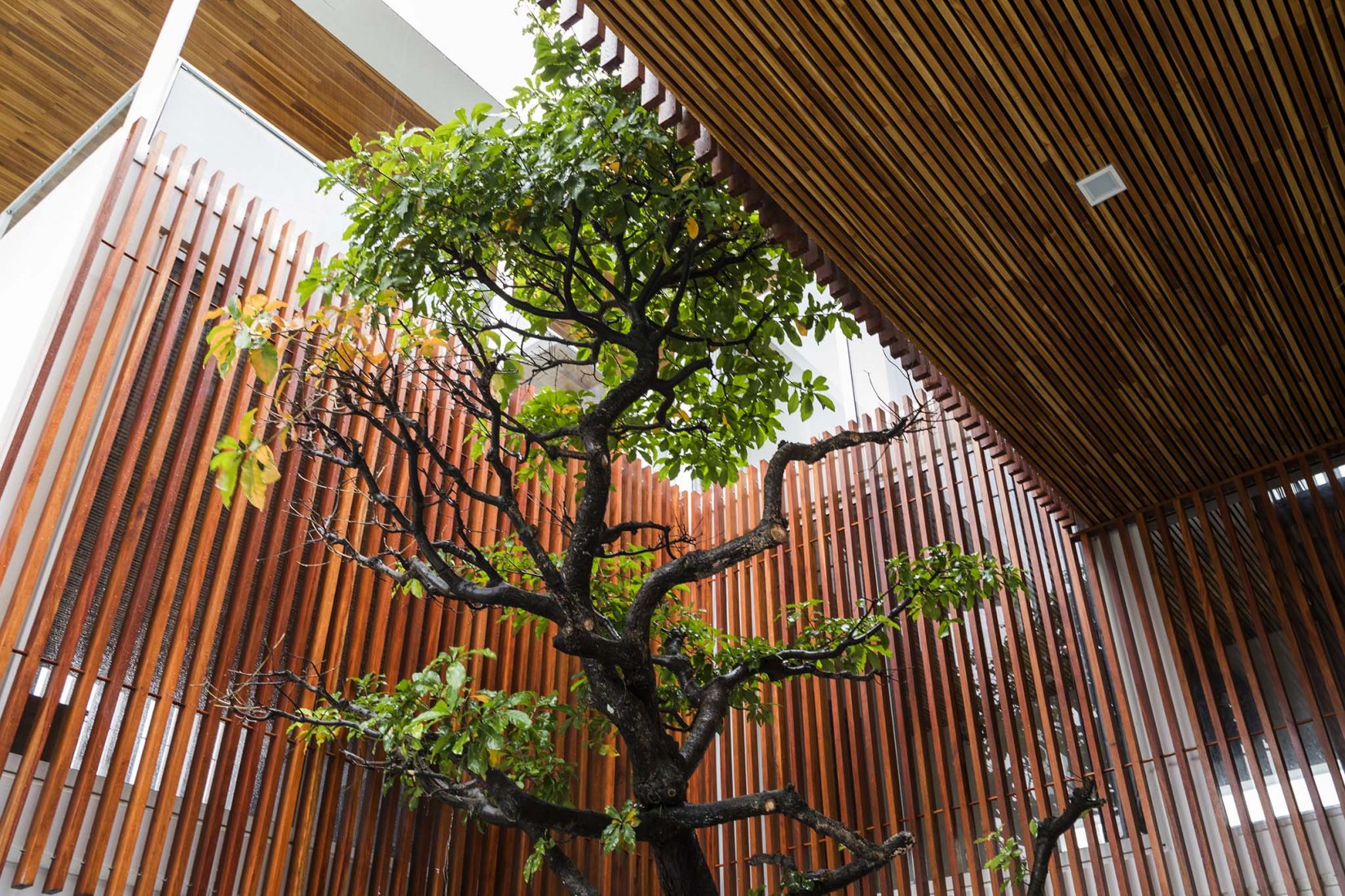 P&T House by SILAA Architects and BHA Studio. Photography by Hiroyuki Oki