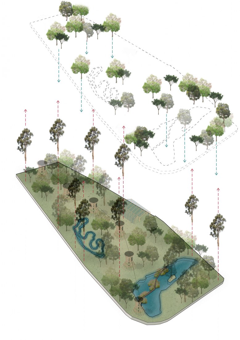 Axonométrica de la arborización del proyecto para el «Parque ecológico Benito Juárez» por Sin Título Arquitectura.