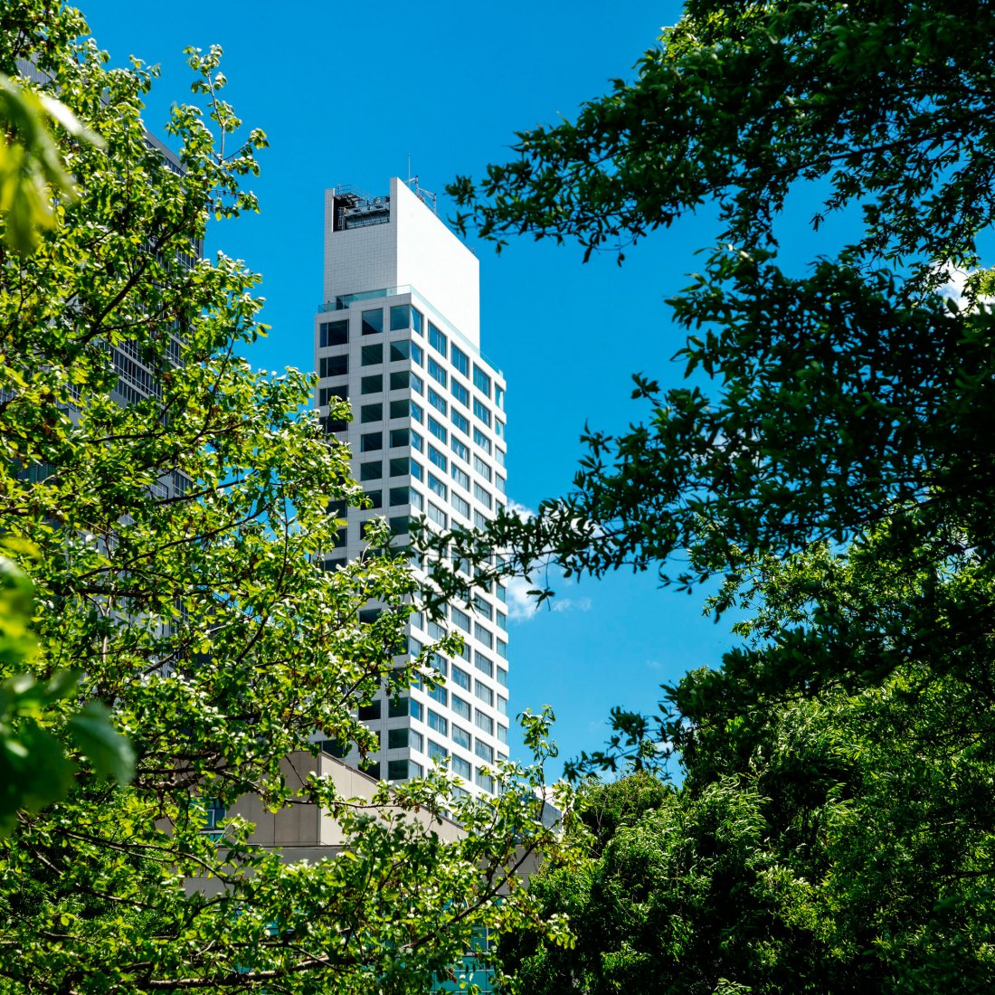 Torre 611W56 en Manhattan por Álvaro Liza. Fotografía por João Morgado.