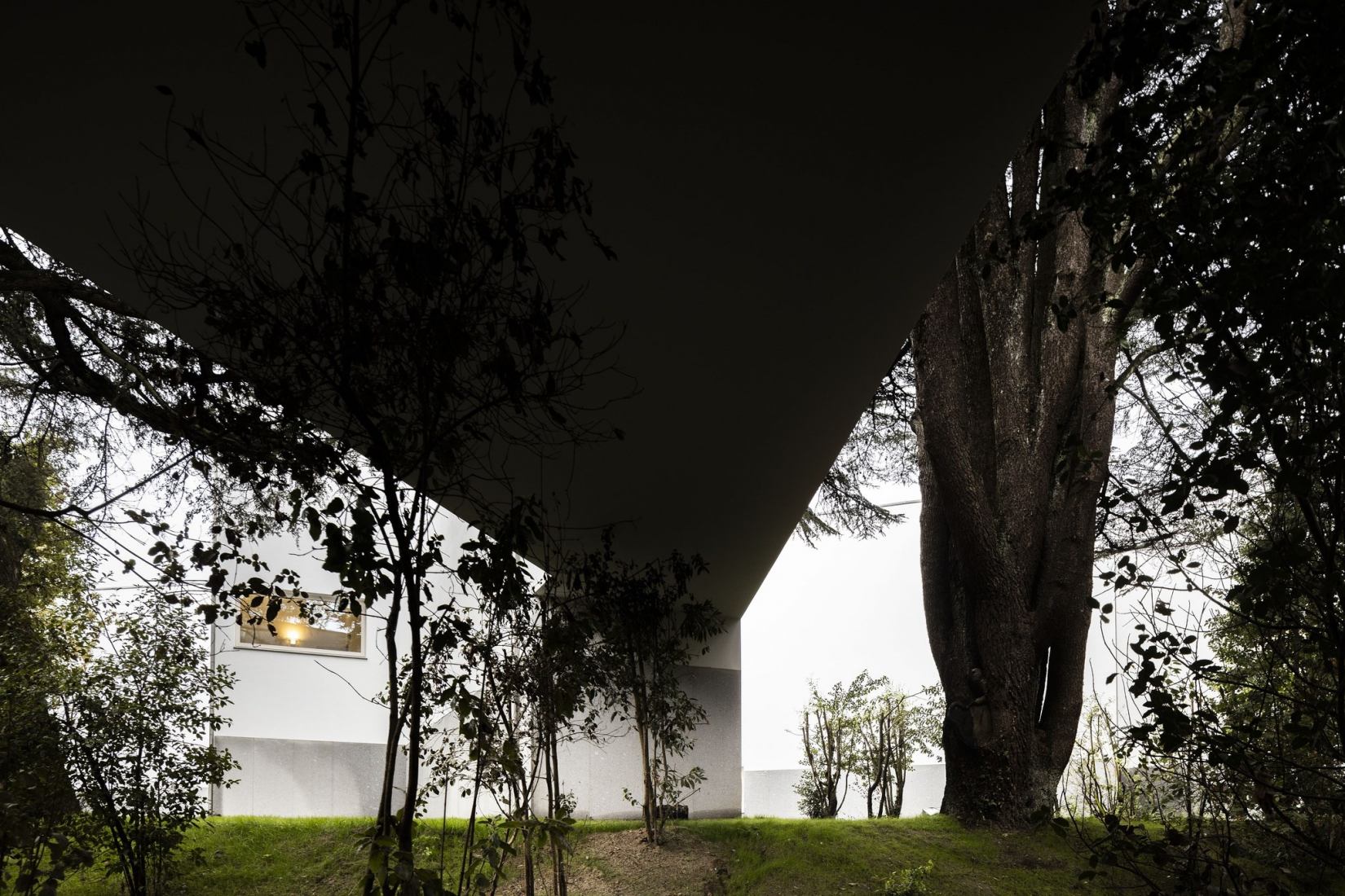 Álvaro Siza Wing by Álvaro Siza. Photograph by Nelson Garrido