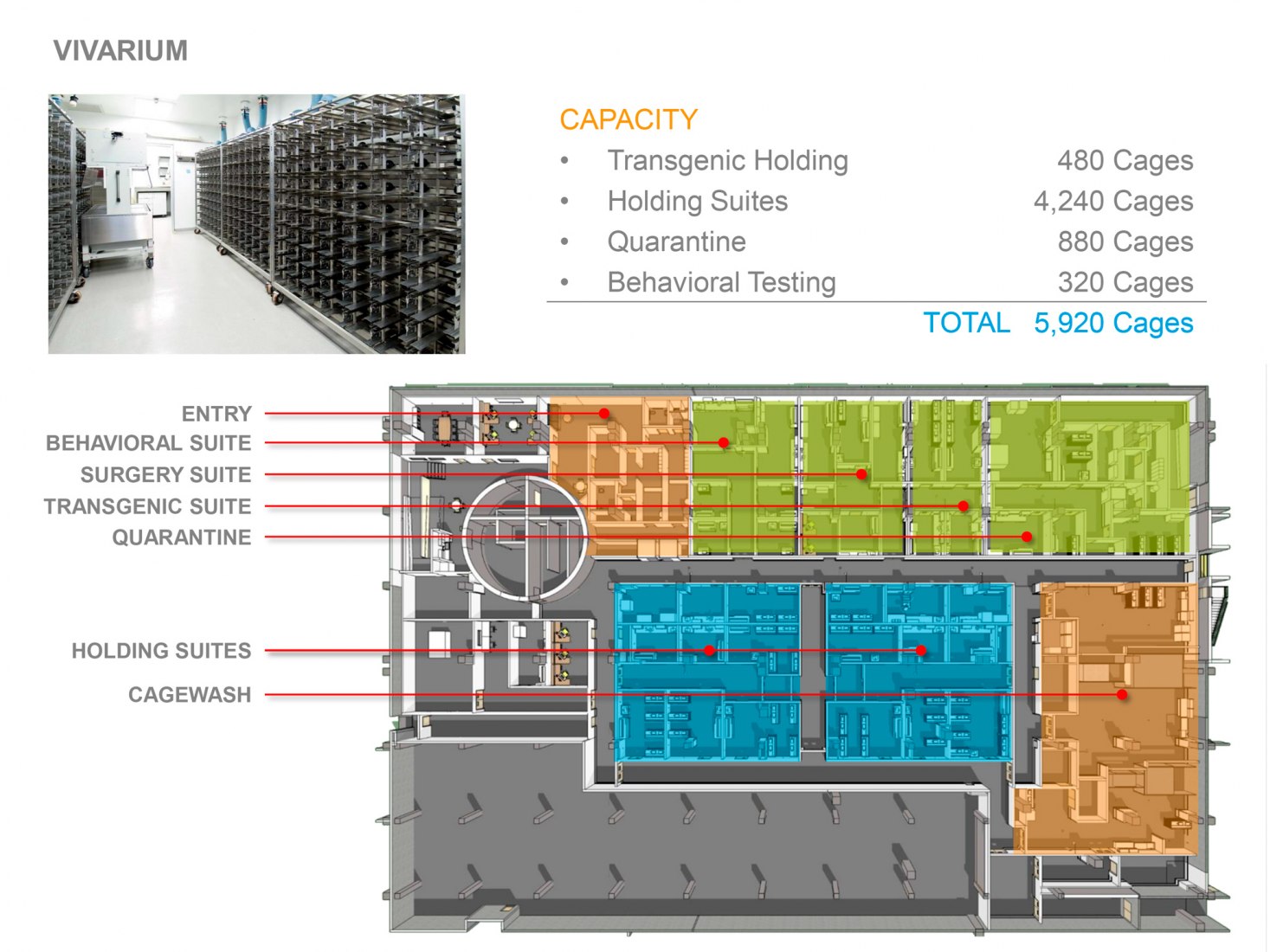 Unidades de investigación. Instituto Skolkovo de Ciencia y Tecnología por Herzog & de Meuron.