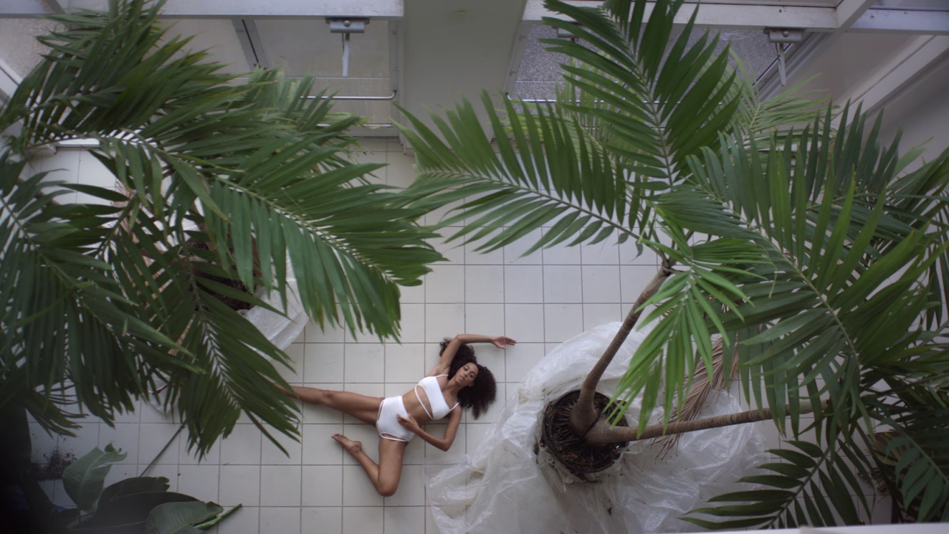 'Cranes in the Sky' by Solange The Strength of Architecture From 1998