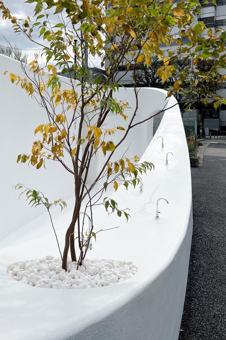 Toilet in Shibuya, Tokyo by Sou Fujimoto. Photgraph by architecturephoto