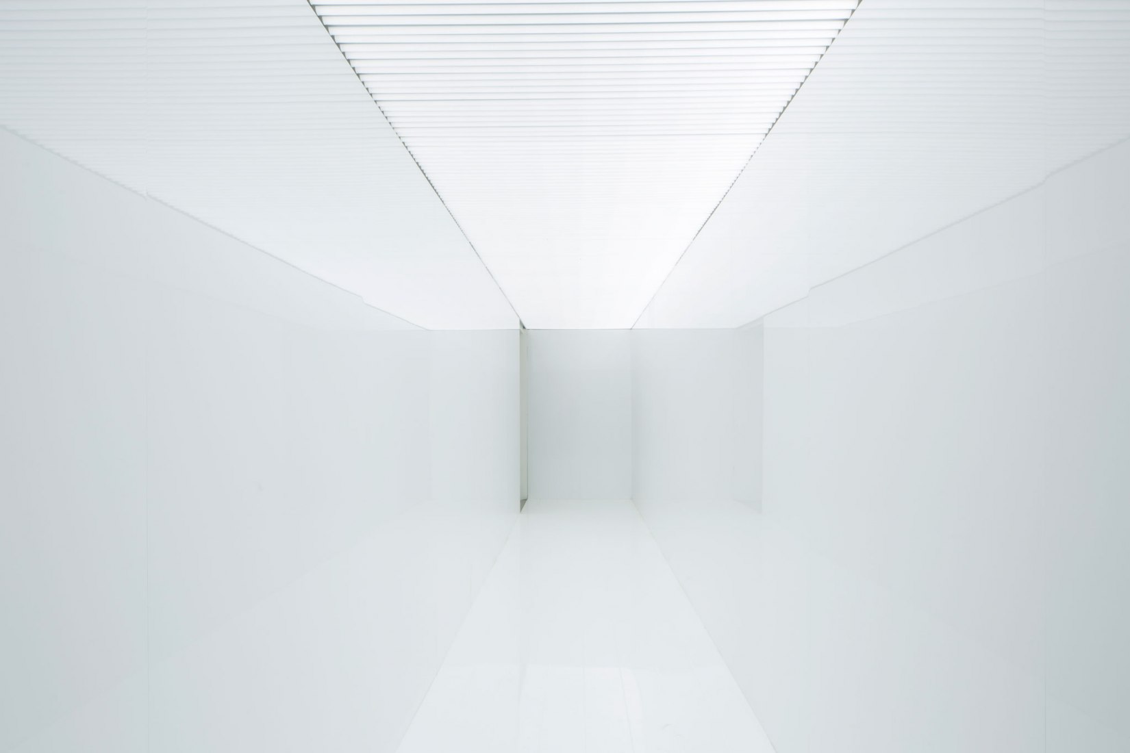 Spectra III, 2008, por Ryoji Ikeda. Tubos de iluminación LED, paneles de madera laminados en blanco. Fotografía por Francesco Galli. Cortesía de La Biennale di Venezia.