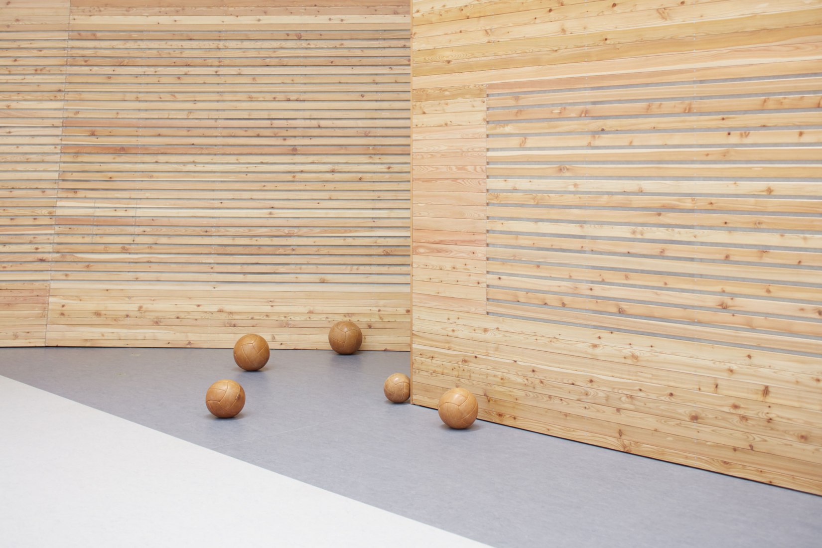 Wall detail. Dolní Brežany Sports Hall by SPORADICAL. Photograph © Jakub Skokan, Martin Tůma / BoysPlayNice
