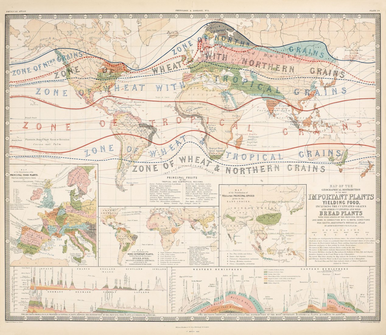 Baslica Yenilebilir Bitkilerin Cografi Dagiliminin Haritasi. Keith Johnston, 1858 / Mapa de la distribución geográfica de las plantas más importantes que producen alimentos. Keith Johnston, 1858. Cortesía de Kerim Bayer Archieve. Cortesía de IKSV