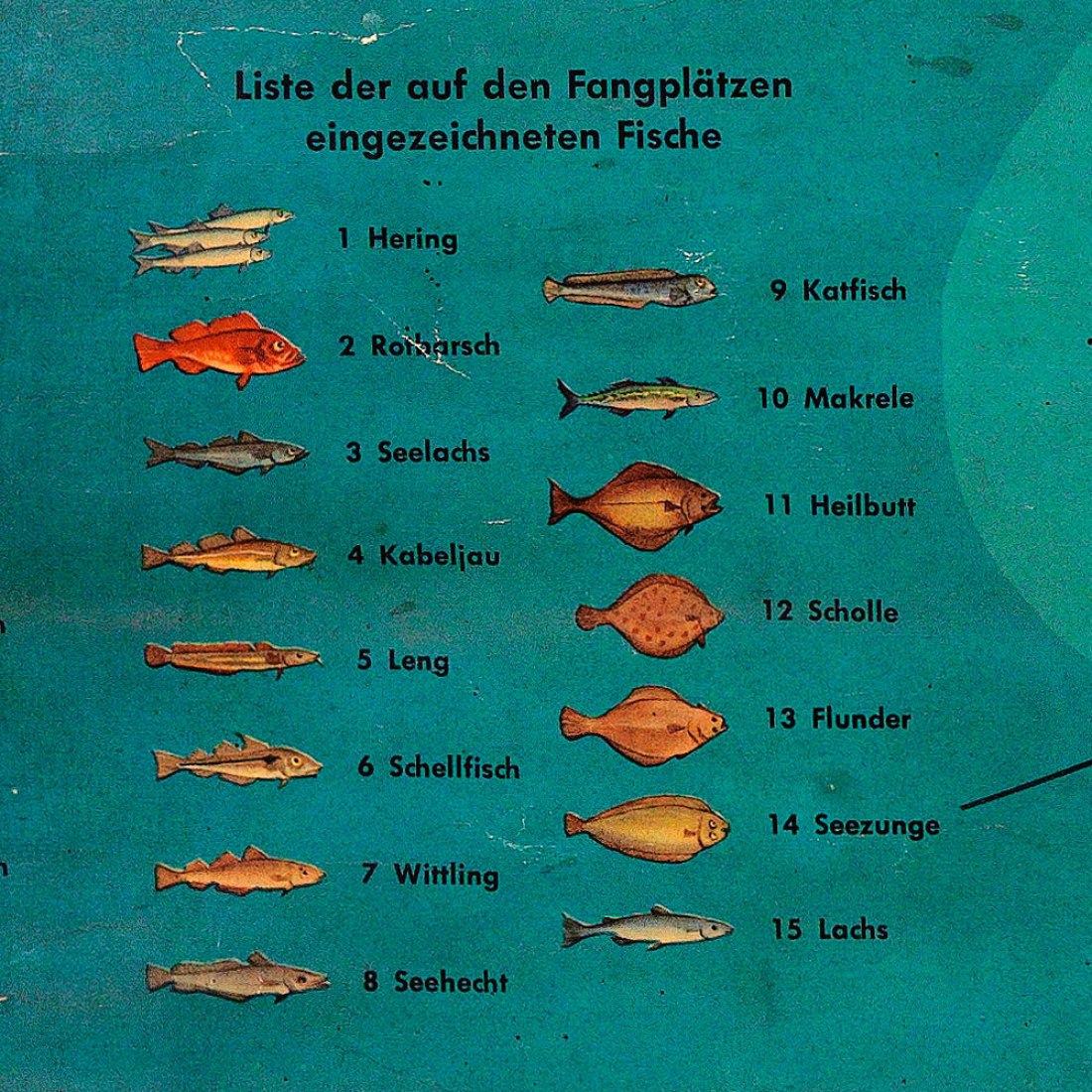 Karte der Fanggebiete der Deutschen Seefischerei, Willi Ohler, Hamburgo, 1935 / Alman Su Ürünleri Avcilu Haritasi, Willi Olher, Hamburgo c.1935. Cortesía de Kerim Bayer Archieve. Cortesía de IKSV